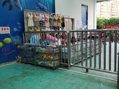 -黄金海岸水上乐园