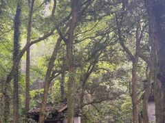-富春桃源风景区