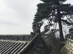 -武当山风景区