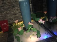 -大桶大足浴(金桥店)