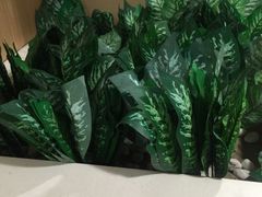 -麦当劳(军博店)