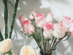 -豆豆花艺(新光天地店)