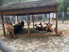 -长白岛森林公园