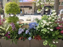 -北京厨房(SKP店)