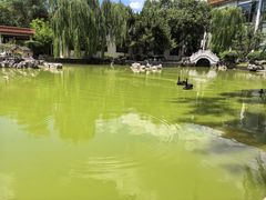 -舜耕山庄四时万和自助餐厅