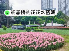 -观音桥步行街