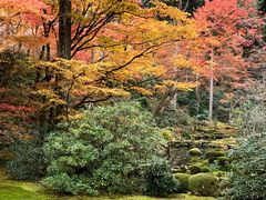 -三千院