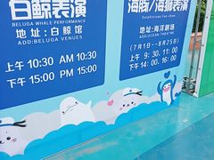 -秦皇岛乐岛海洋王国