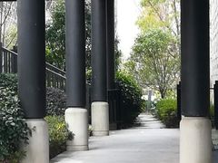 -上海崇明金茂凯悦酒店