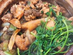 招牌家鸡煲-渝君重庆火锅(嘉宾路店)