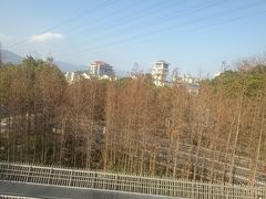 -福道