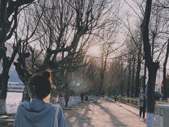 -滇池海埂公园