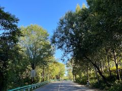 -玉渡山自然风景区