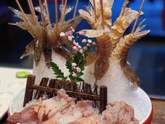 -红运火锅·中国名火锅·国风演绎(省体店)