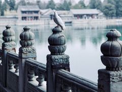 -颐和园
