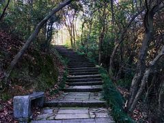 -杭州半山国家森林公园