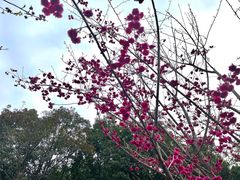 -金山公园