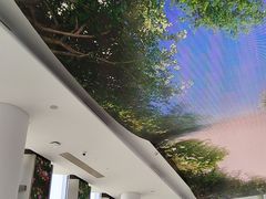 -Free Sky 云际观光层