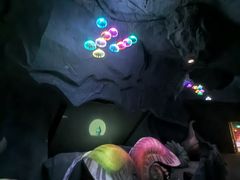 -贝壳梦幻世界