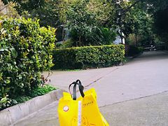-弓虽昌焖烧鸡(大竹林店)