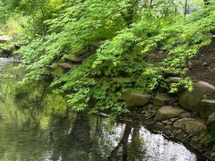 -杭州植物园