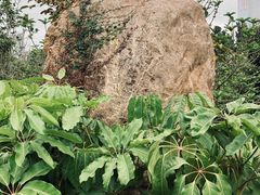 -华侨城湿地公园