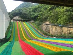 -梦幻奥陶纪景区