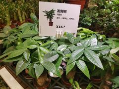 -IKEA宜家家居(南京商场)