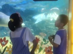 -烟台海昌鲸鲨海洋公园