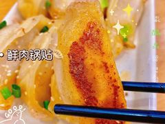 鲜肉锅贴-小姜锅贴(凤凰街店)