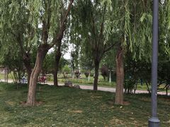 -西吴河科普公园
