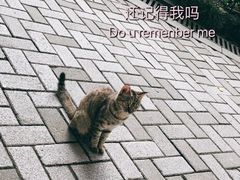 -静安公园(静安寺街道)