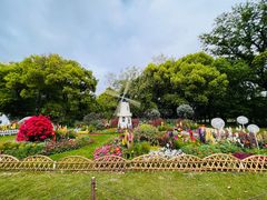 -上海共青森林公园