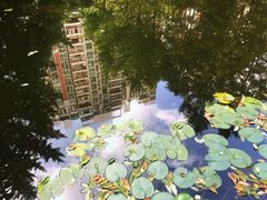 -世纪同乐绿地世纪城二期