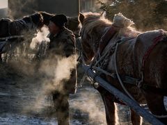 -北极村旅游风景区