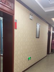 -南京医科大学友谊整形外科医院