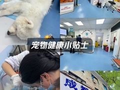 -成都民大动物医院