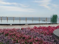 -月坨岛华清月府温泉酒店