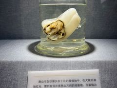 -唐山抗震纪念馆