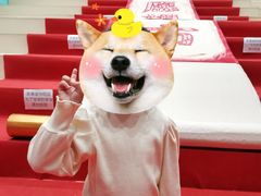 -爱睿思儿童早教亲子游泳(万象城店)