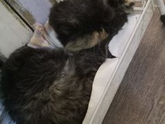 -小时光咖啡馆(开森度假森林店)