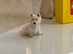 -义乌之心城市生活广场