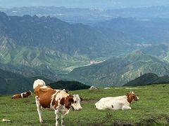 -灵山