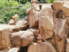 -西安秦岭野生动物园