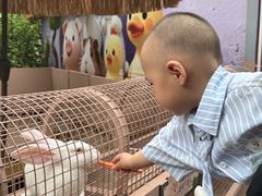 -深圳野生动物园