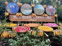 -河南宝泉旅游区