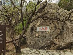 -阳台山自然风景区