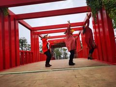 -芒洲湿地公园