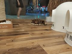 -袖虎·猫馆(体育西路店)