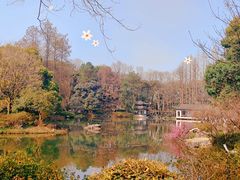 -杭州植物园
